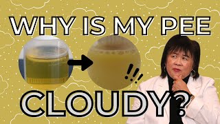 Why Is My Urine Cloudy [upl. by Eilis]