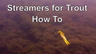 The Orvis Guide to Fly Fishing Streamers [upl. by Anabahs567]