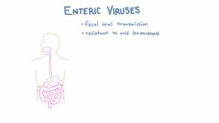 Introduction to Enteric Viruses [upl. by Corri]