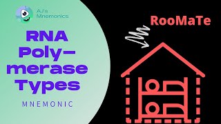 RNA Polymerase Types Mnemonic [upl. by Stuckey]