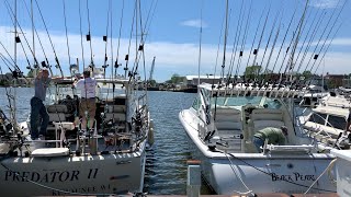 Salmon Fishing Lake Michigan Predator Charter Services amp Black Pearl Sport Fishing [upl. by Orpah]