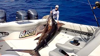 HUGE BLUE MARLIN Catch Clean Cook [upl. by Liamsi]