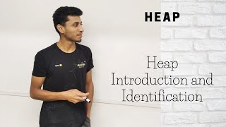 1 Heap Introduction and Identification [upl. by Rollet]