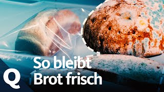 Brot richtig aufbewahren So bleibts frisch  Quarks [upl. by Ewan]