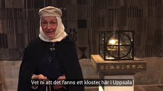 Medeltiden i domkyrkan  den heliga Birgitta berättar [upl. by Palumbo]