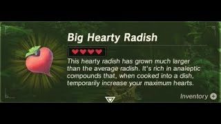 Hearty Radish  Farming Location 1  Zelda BOTW [upl. by Mori]