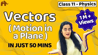 Vectors Class 11  Motion in a plane  Physics NEET JEE CBSE [upl. by Retseh509]