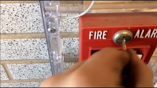 Fire Alarm Test at a Local High School [upl. by Rajewski589]