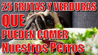 Lista 25 frutas y verduras que pueden comer nuestros perros [upl. by Aisatsanna981]