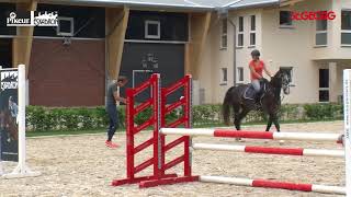 Training des jungen Springpferdes mit Christian Kukuk [upl. by Yssirk]