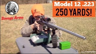 LONG RANGE SHOOTING  SAVAGE MODEL 12 223 [upl. by Nayrda]