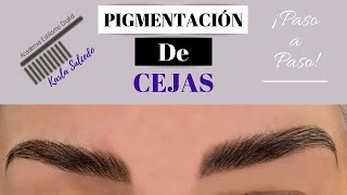 Pigmentación de cejas J Denis Paso a Paso [upl. by Rosel]