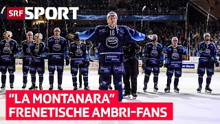 Gänsehaut pur 😍🏒 Rückblick auf den Spengler Cup 2019 [upl. by Yelnik]