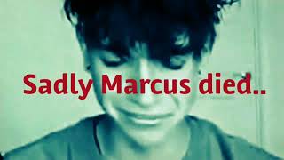 Lucas and Marcus Sad [upl. by Enilrahc]