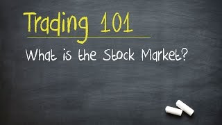 Trading 101 What is the Stock Market [upl. by Skipp945]