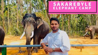 SAKAREBYLE ELEPHANT CAMP Shimoga [upl. by Zosi]