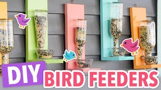 DIY Bird Feeders [upl. by Seligman]