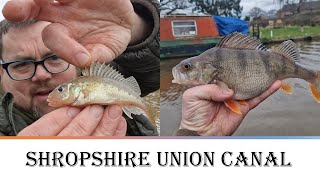 Shropshire Union Canal Fishing Chester [upl. by Atimed]