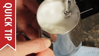 How to AutoFroth Milk for Lattes [upl. by Eilliw980]