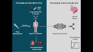 Pharmacodynamics and Pharmacokinetics  A rapid review [upl. by Jock]