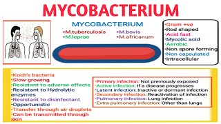 Mycobacterium II Type of infections II Medical microbiology Part1 [upl. by Dworman]