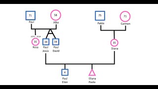 Genogramas Construcción Básica [upl. by Fotina927]