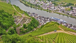 German Riesling Wine Journey [upl. by Kala]