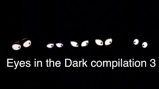 Eyes in the Dark Compilation 3 [upl. by Asselim]