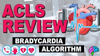 Bradycardia  ACLS Review [upl. by Greta]