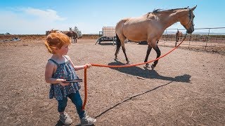 Adley RIDES SPIRIT the Horse [upl. by Allain]