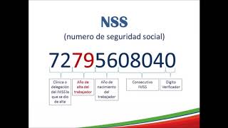 ¿Cómo se conforma el Número de Seguridad Social NSS del IMSS [upl. by Hoyt257]