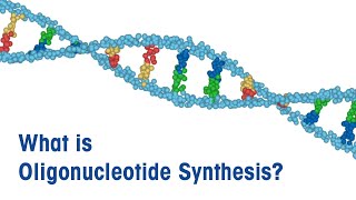 What is Oligonucleotide Synthesis [upl. by Anaitsirhc585]