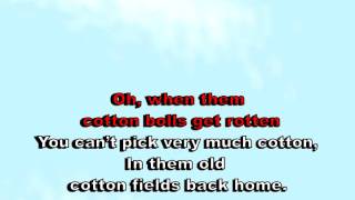 Cotton Field  Creedence karaoke [upl. by Refinnaj238]