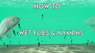 Using Wet Flies amp Nymphs  How To [upl. by Sekyere117]