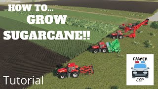 How to Grow Sugarcane in Farming Simulator 19 [upl. by Evered]