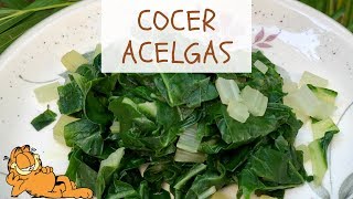 3 TRUCOS Para COCER Acelgas 🥬 ¡Deliciosas [upl. by O'Connor]