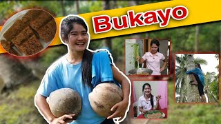 SARAP NG BUKAYO  HALA SIGE  AKYAT HAHA  KaMangyan Vlogs [upl. by Notled448]