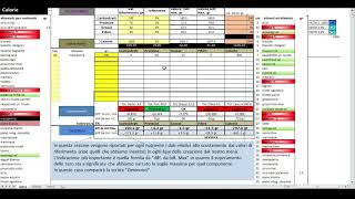 Calcolo valori nutrizionali con Microsoft Excel [upl. by Coraline]