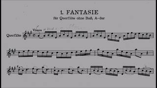 Georg Philip Telemann – 12 Fantasias for Flute TWV 40213 [upl. by Anilatsyrc]