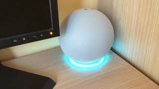 Alexa Echo 4 generazione collegamento al PC con cavo jack [upl. by Berrie647]