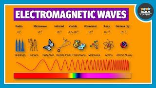 Electromagnetic Waves  Physics [upl. by Gem]