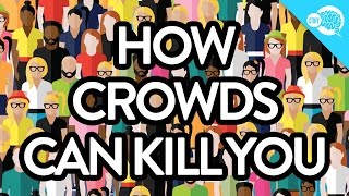 How Crowds Can Kill You [upl. by Enaled]