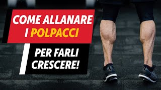 Come allenare i POLPACCI [upl. by Reddy]