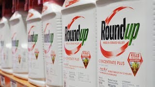 The Monsanto Papers  Roundup amp The Canadian Connection  Enquête [upl. by Jasen67]