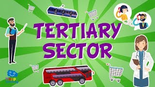 The Tertiary Sector  Jobs and their classification  Educational Videos for Kids [upl. by Darbee]