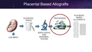 Placental Based Allografts From Womb to Wound [upl. by Ykcir51]