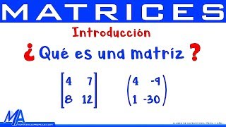 Matrices Introducción  Conceptos básicos [upl. by Nnaik]