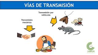 Microbiología de los Alimentos Parte 1 [upl. by Noleta]