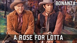 Bonanza  A Rose for Lotta  Episode 01  Western Series  FULL EPISODES  English [upl. by Guyon283]