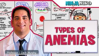 Hematology  Types of Anemias [upl. by Iana]